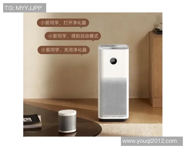 提升室内空气质量的必备良品空气净化器选购与使用全攻略