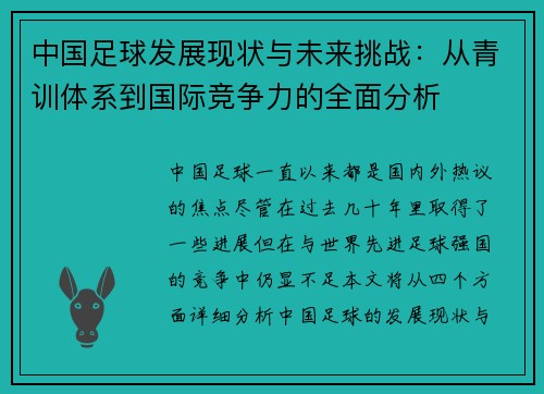 中国足球发展现状与未来挑战：从青训体系到国际竞争力的全面分析