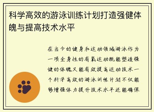 科学高效的游泳训练计划打造强健体魄与提高技术水平